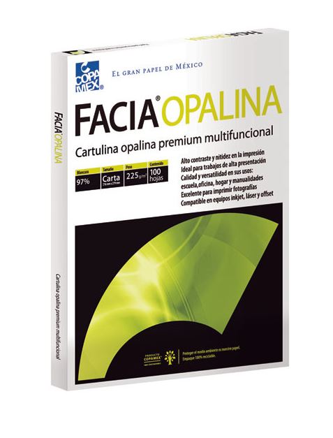 Avantage Paquete Cartulina Opalina Carta Blanco C/100
