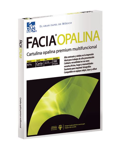 Facia Paquete Cartulina Opalina Carta Blanco C/100